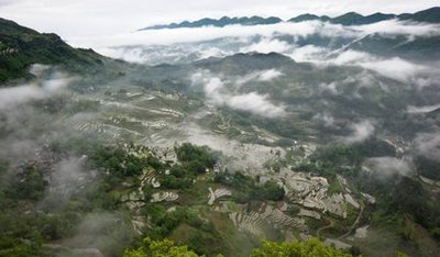 重庆酉阳县辣椒产业助力乡村振兴